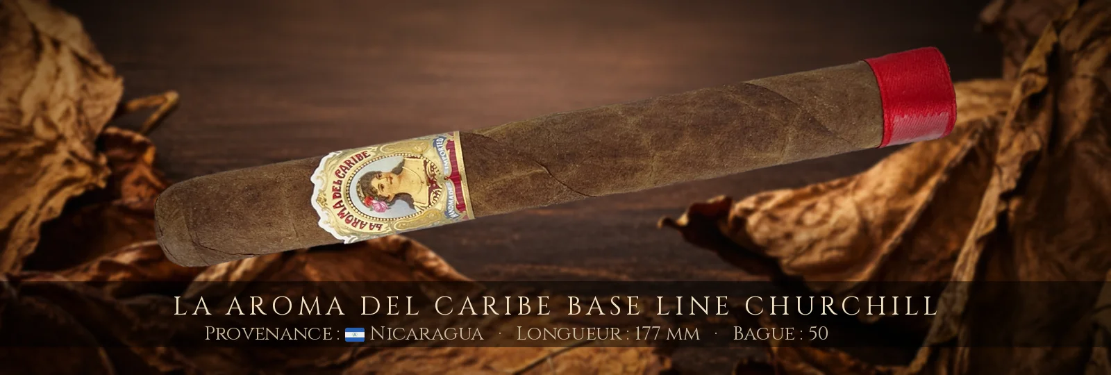 La Aroma del Caribe Base Line Churchill — La Aroma del Caribe — Nicaragua