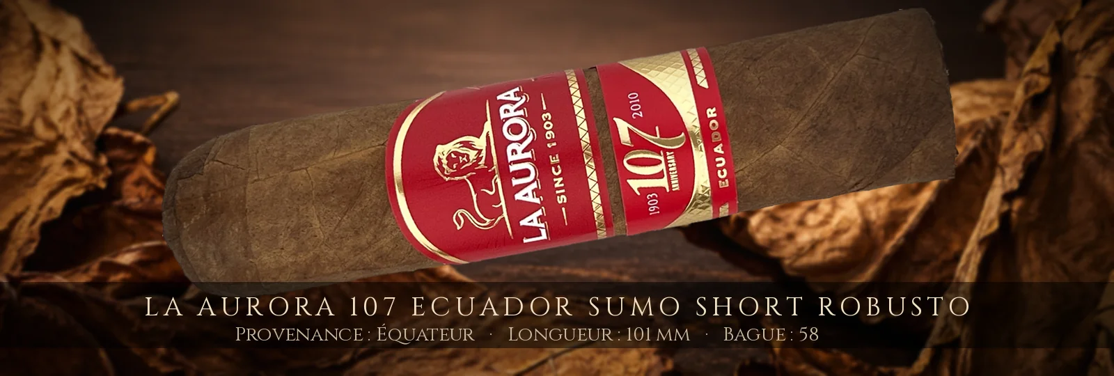 La Aurora 107 Ecuador Sumo Short Robusto — La Aurora — Équateur