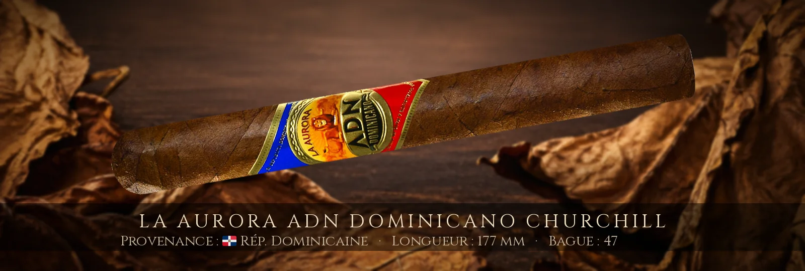La Aurora ADN Dominicano Churchill — La Aurora — République Dominicaine