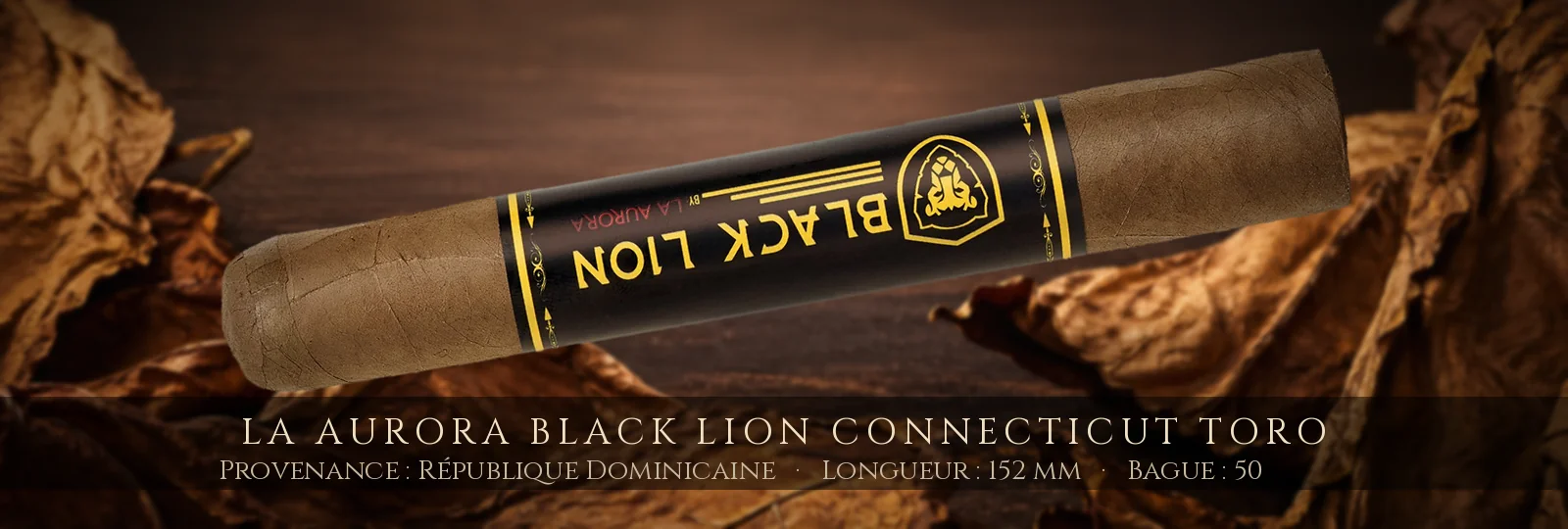 La Aurora Black Lion Connecticut Toro — La Aurora — République Dominicaine