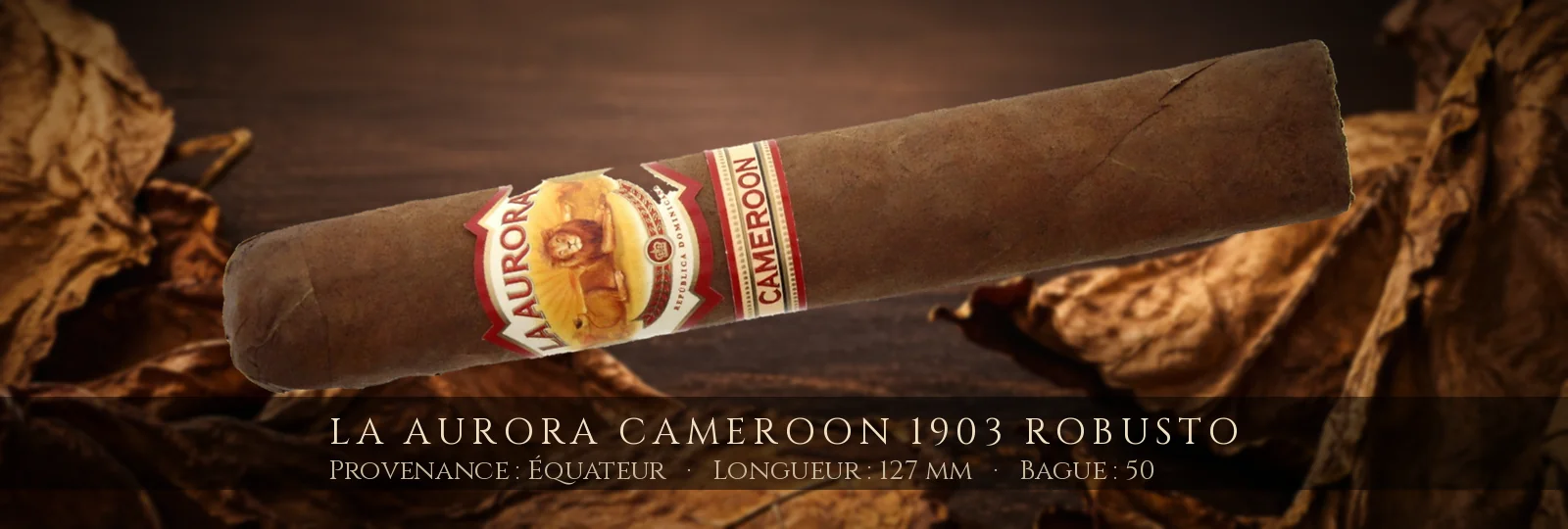 La Aurora Cameroon 1903 Robusto — La Aurora — Équateur