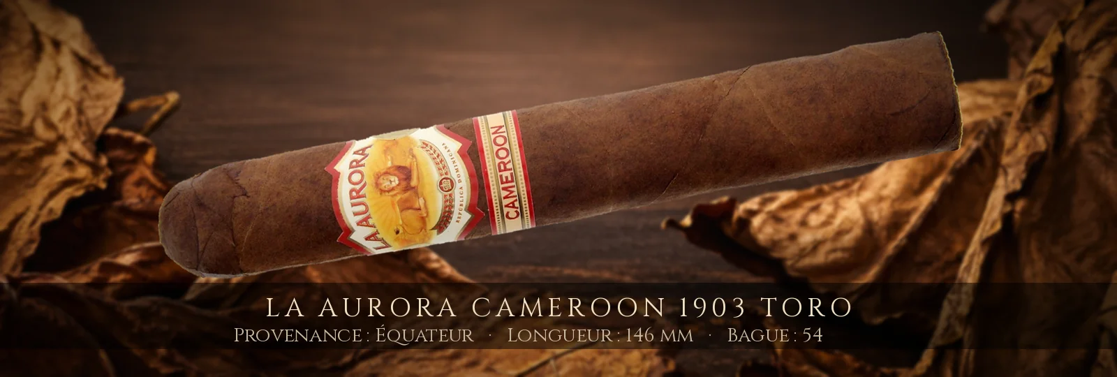 La Aurora Cameroon 1903 Toro — La Aurora — Équateur