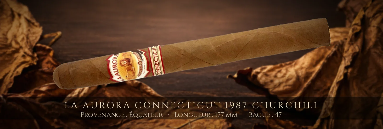 La Aurora Connecticut 1987 Churchill — La Aurora — Équateur