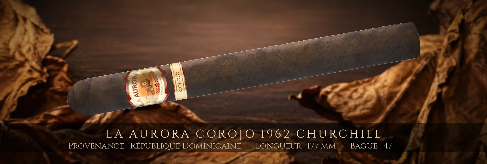 La Aurora Corojo 1962 Churchill — La Aurora — République Dominicaine
