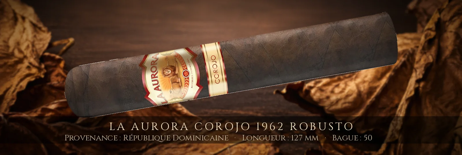 La Aurora Corojo 1962 Robusto