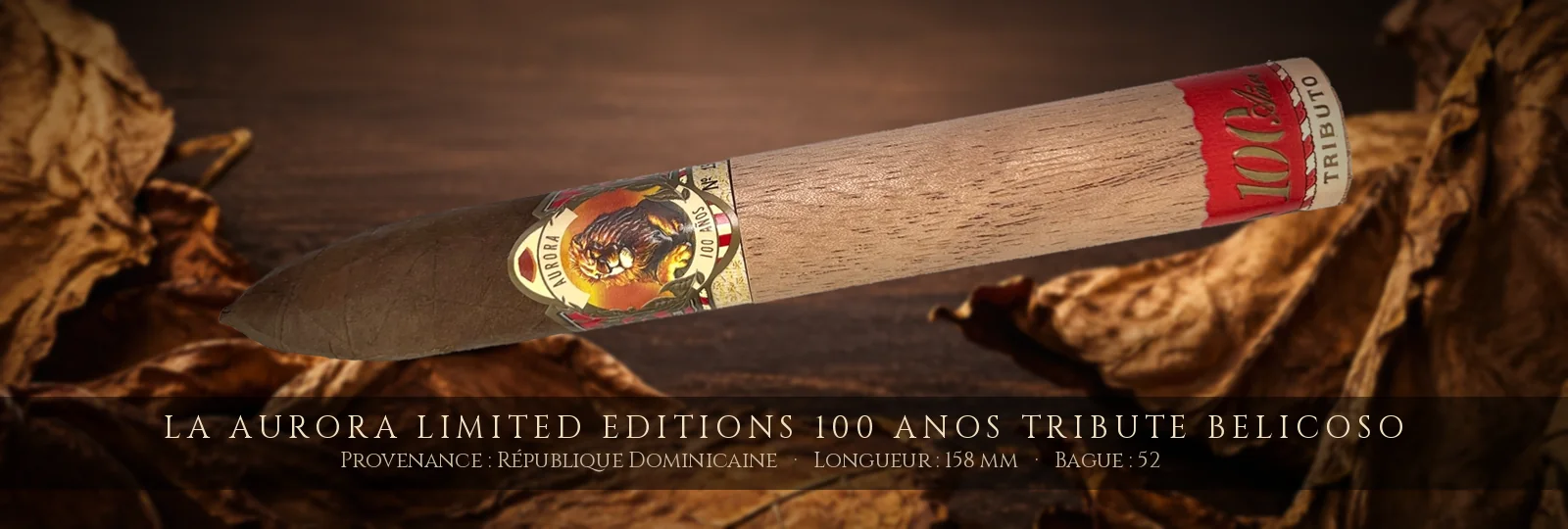 La Aurora Limited Editions 100 Anos Tribute Belicoso — La Aurora — République Dominicaine
