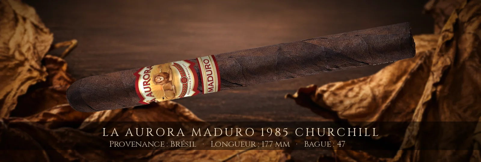 La Aurora Maduro 1985 Churchill — La Aurora — Brésil
