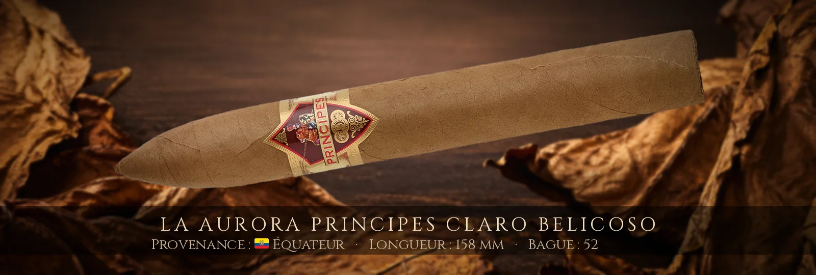 La Aurora Principes Claro Belicoso — La Aurora — Équateur