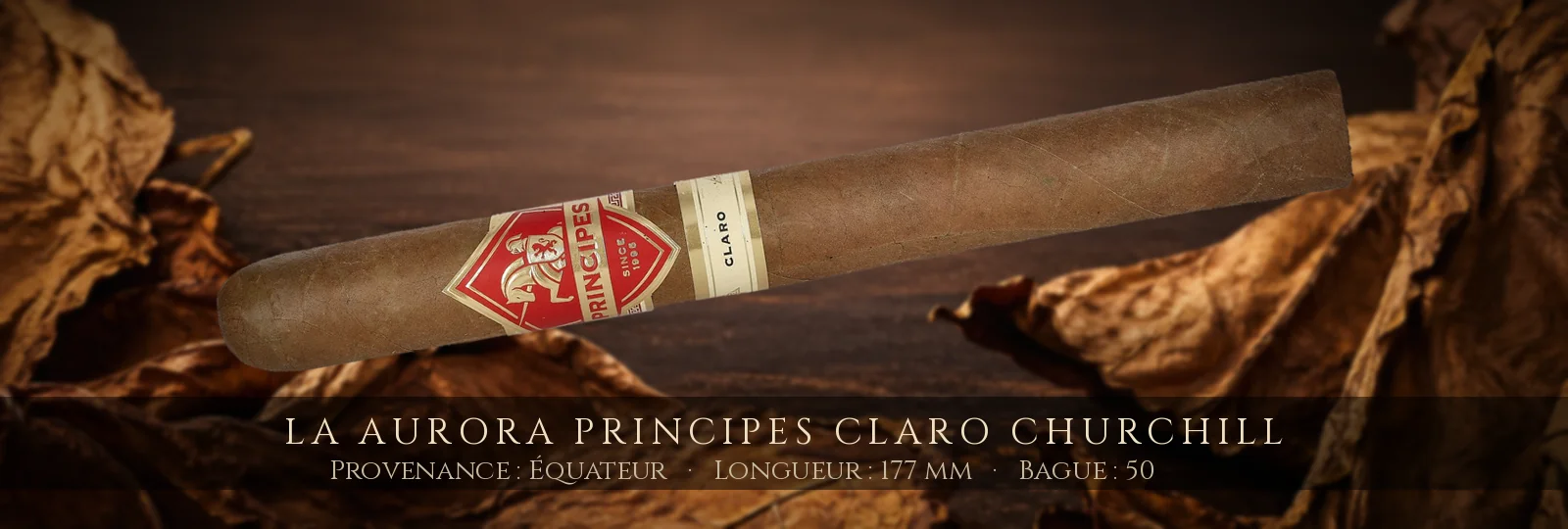 La Aurora Principes Claro Churchill — La Aurora — Équateur
