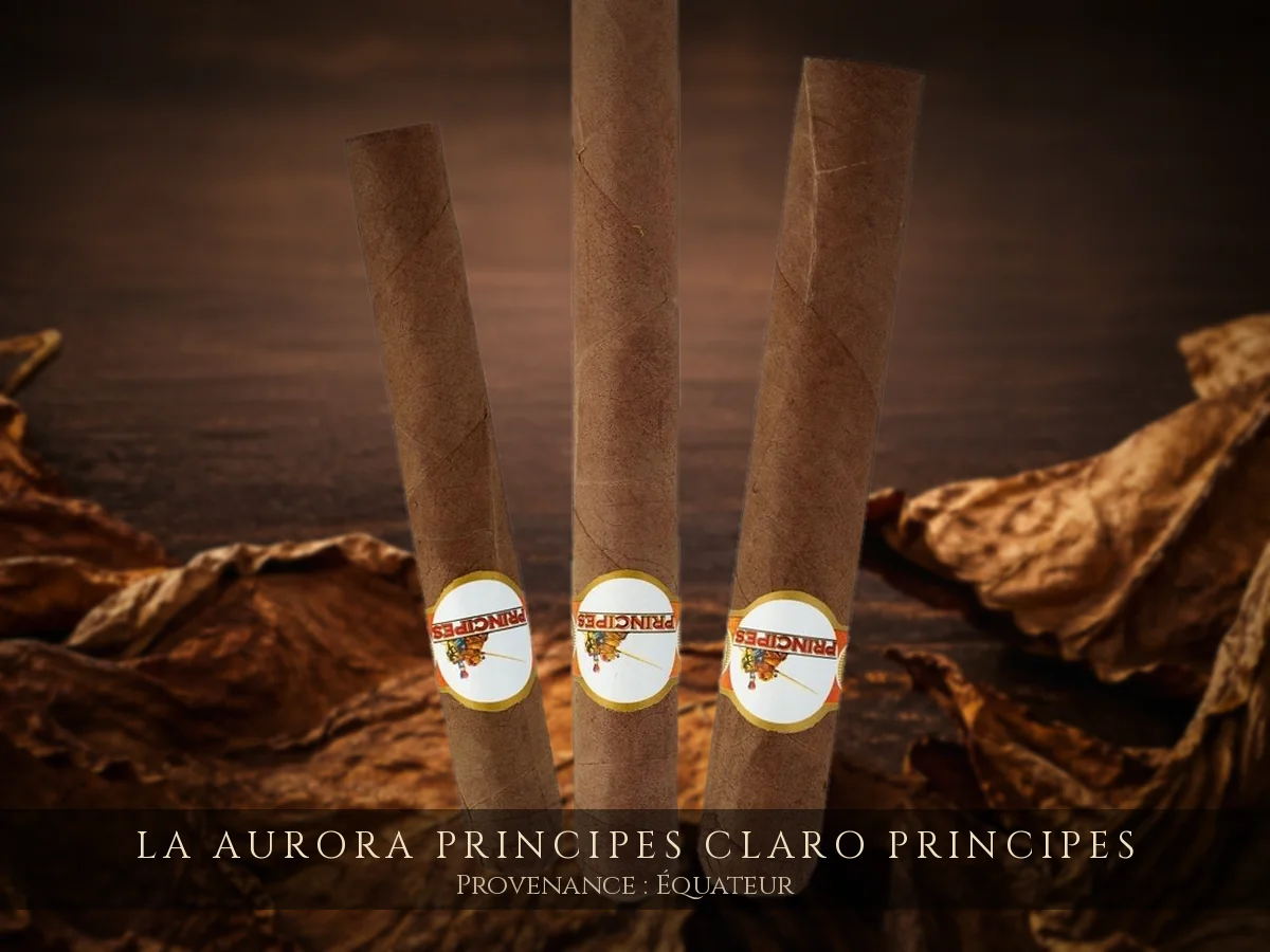 La Aurora Principes Claro Principes — La Aurora — Équateur