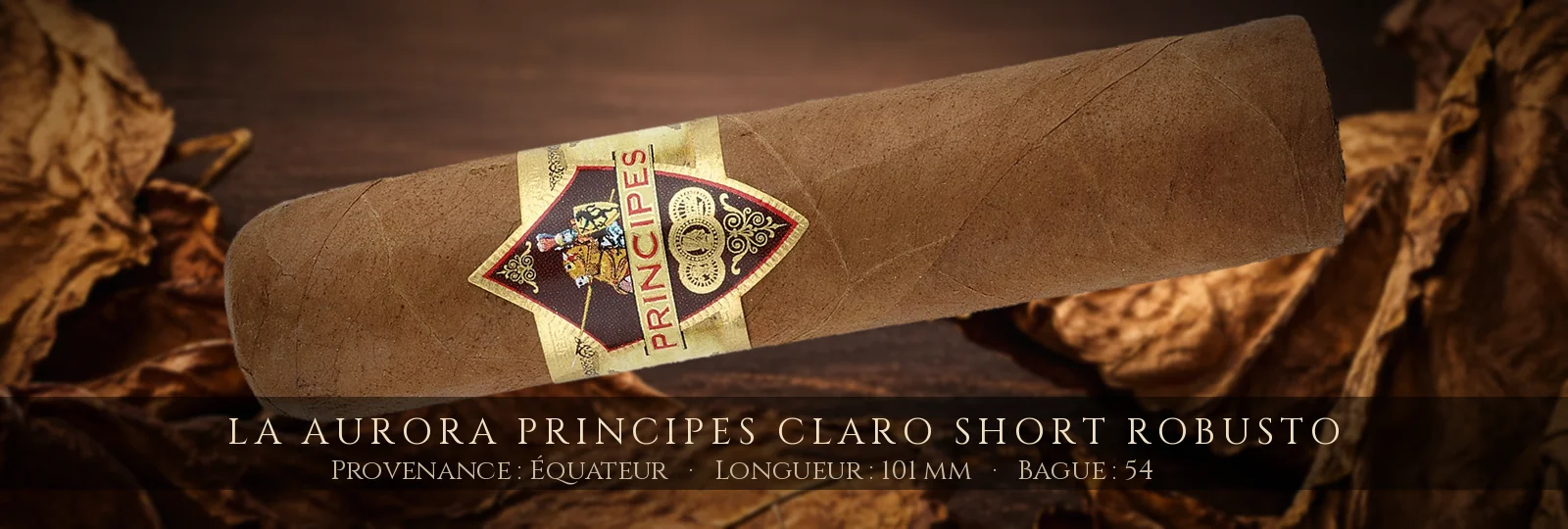 La Aurora Principes Claro Short Robusto — La Aurora — Équateur