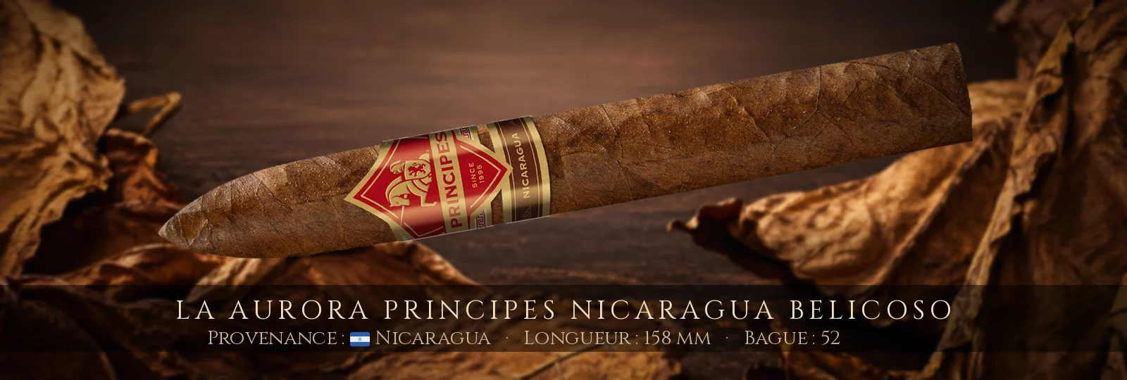 La Aurora Principes Nicaragua Belicoso — La Aurora — Nicaragua