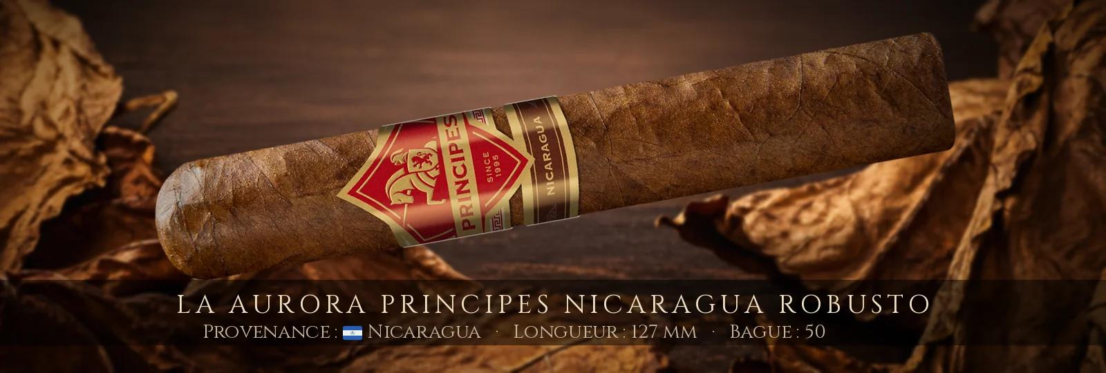 La Aurora Principes Nicaragua Robusto — La Aurora — Nicaragua