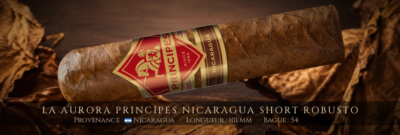 La Aurora Principes Nicaragua Short Robusto — La Aurora — Nicaragua