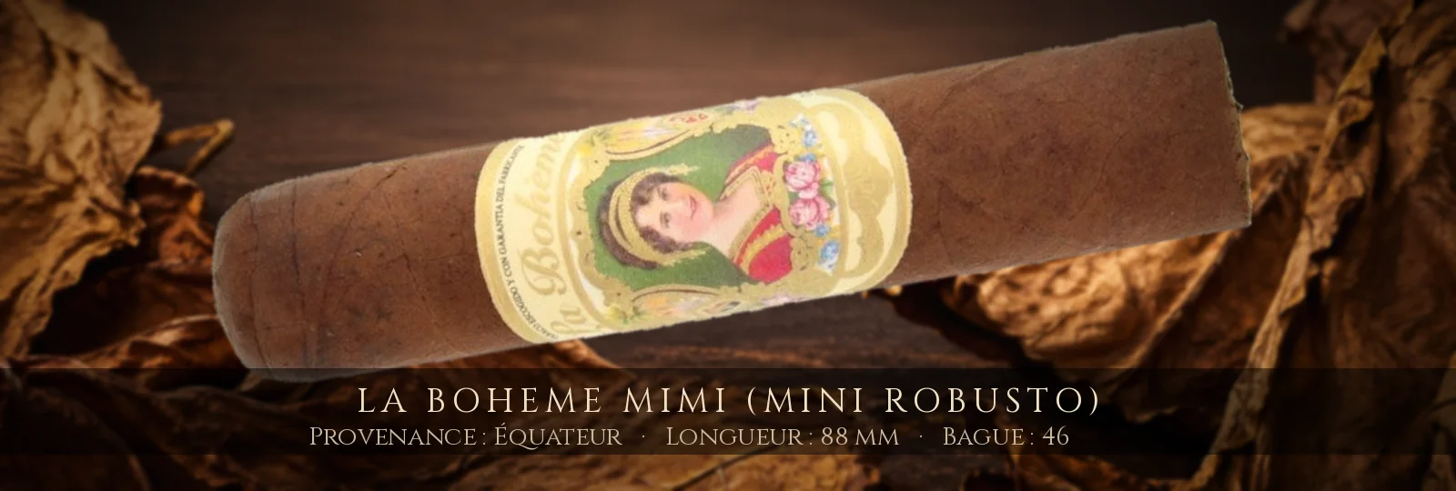 La Boheme Mimi (Mini Robusto) — La Boheme — Équateur