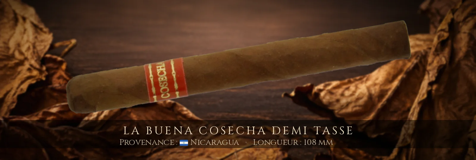 La Buena Cosecha Demi Tasse — La Buena Cosecha — Nicaragua