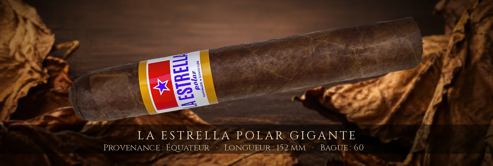 La Estrella Polar Gigante — La Estrella — Équateur