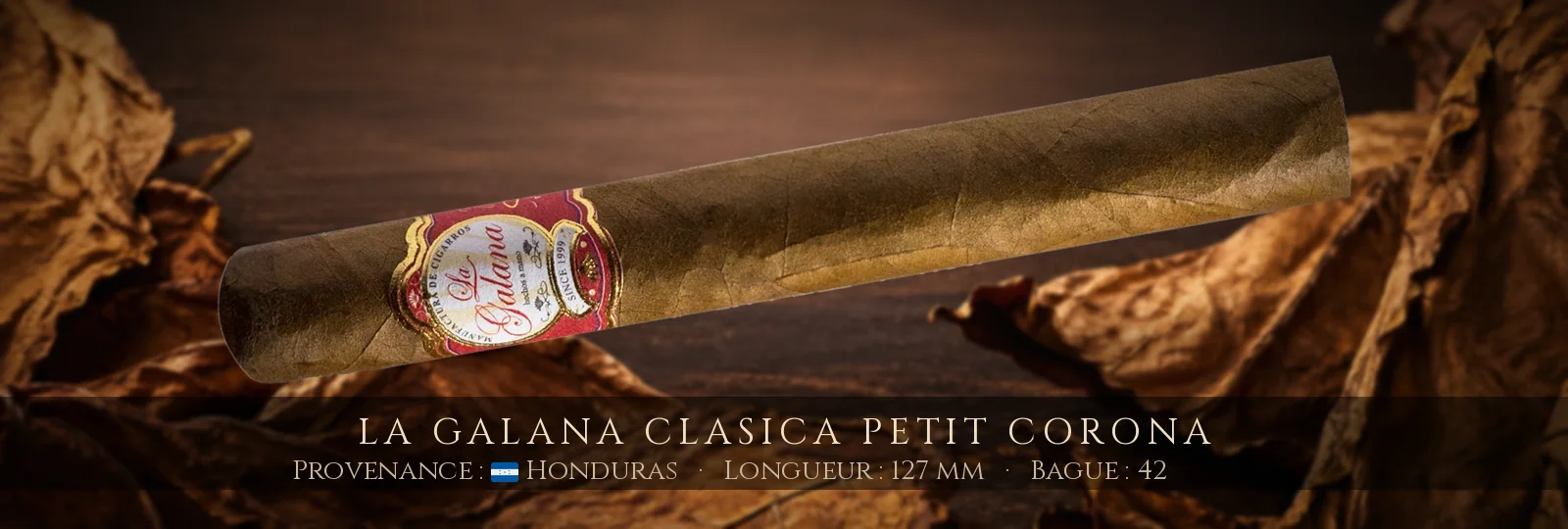 La Galana Clasica Petit Corona — La Galana — Honduras