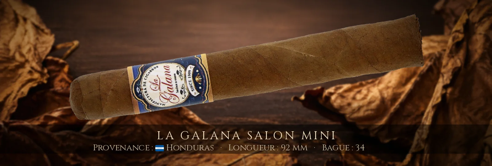 La Galana Salon Mini — La Galana — Honduras
