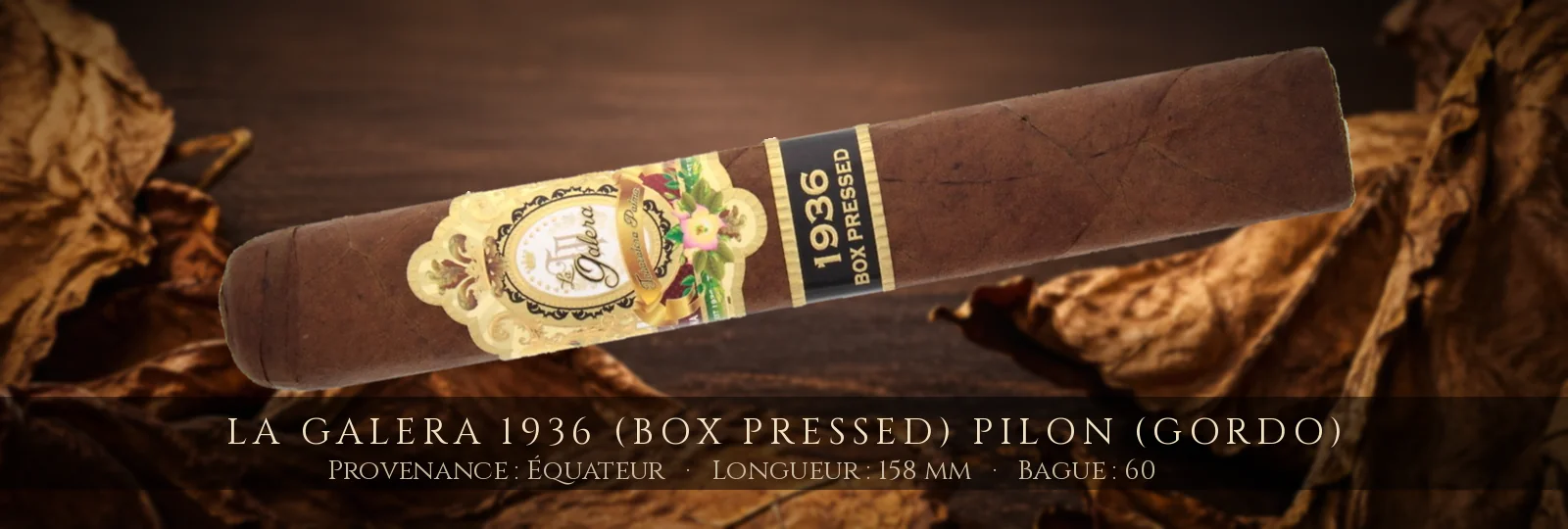 La Galera 1936 (Box Pressed) Pilon (Gordo) — La Galera — Équateur