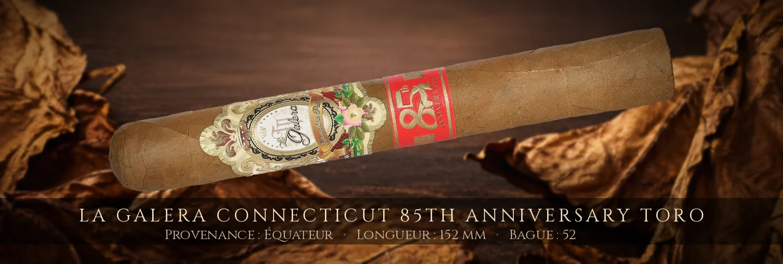 La Galera Connecticut 85th Anniversary Toro — La Galera — Équateur