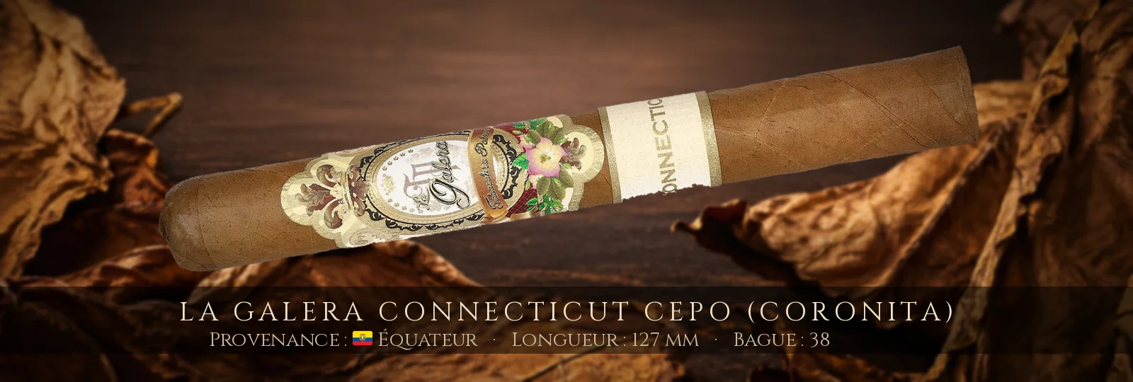 La Galera Connecticut Cepo (Coronita) — La Galera — Équateur