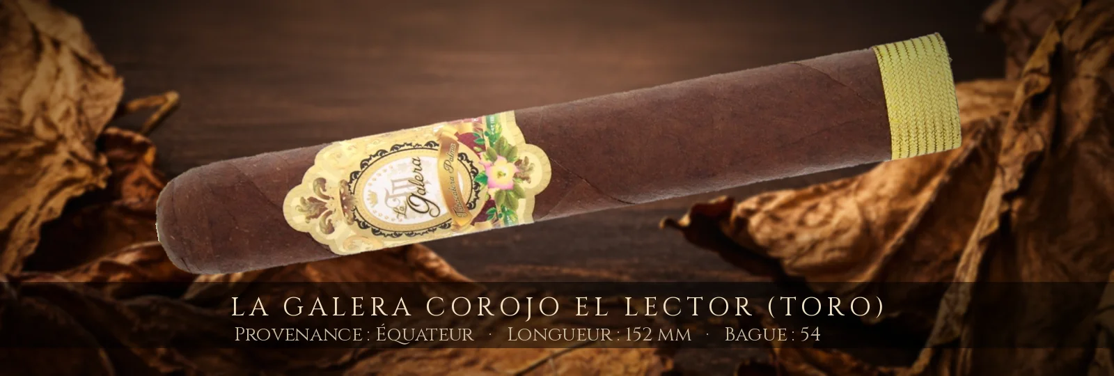 La Galera Corojo El Lector (Toro)