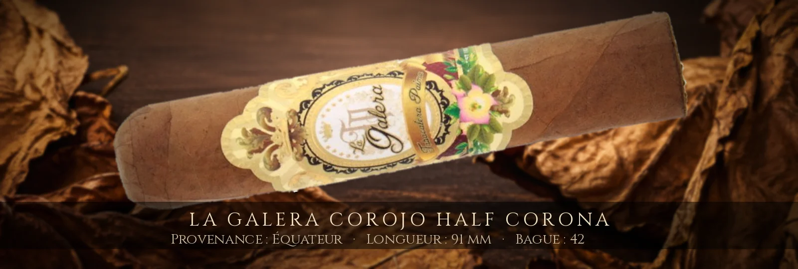 La Galera Corojo Half Corona — La Galera — Équateur