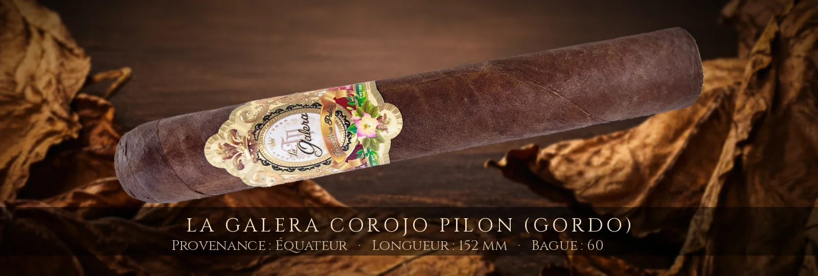 La Galera Corojo Pilon (Gordo) — La Galera — Équateur