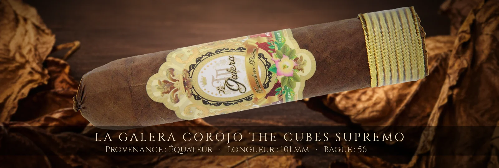 La Galera Corojo The Cubes Supremo — La Galera — Équateur