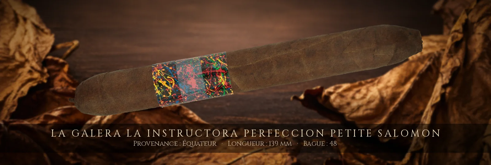 La Galera La Instructora Perfeccion Petite Salomon — La Galera — Équateur