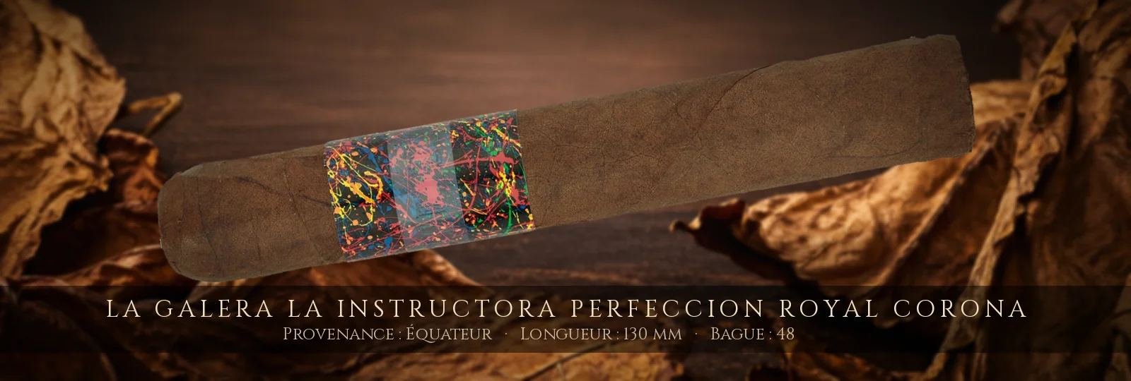 La Galera La Instructora Perfeccion Royal Corona