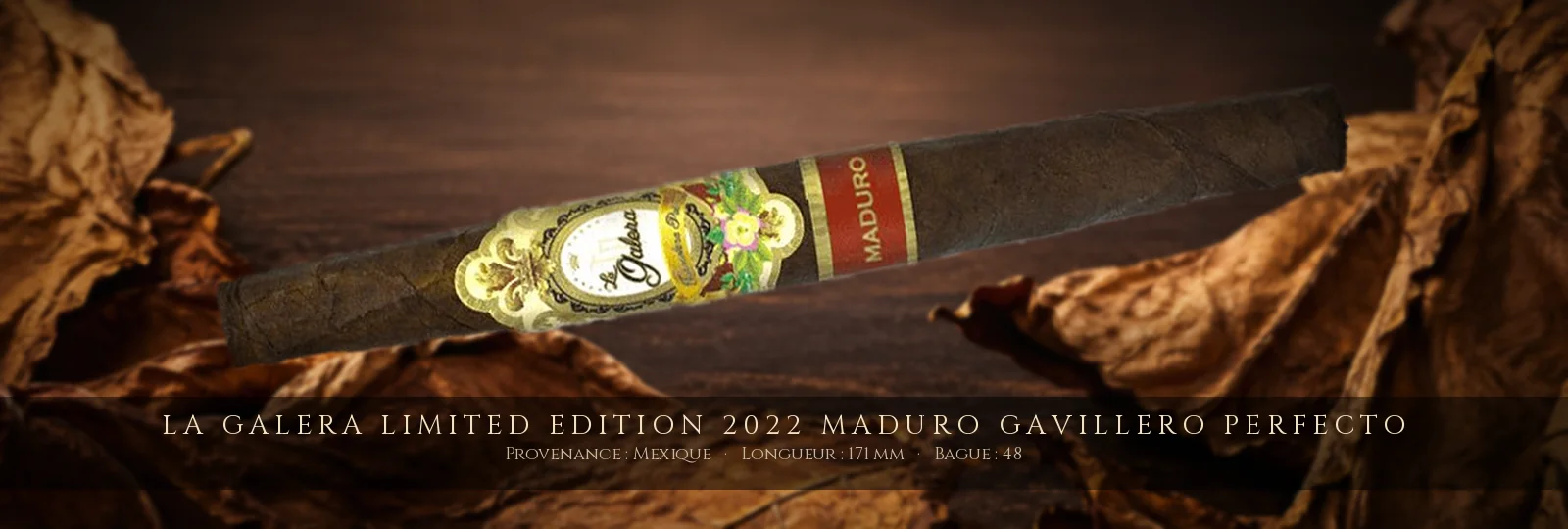 La Galera Limited Edition 2022 Maduro Gavillero Perfecto — La Galera — Mexique