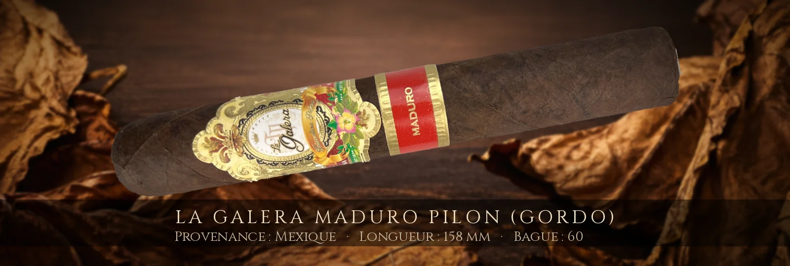 La Galera Maduro Pilon (Gordo) — La Galera — Mexique