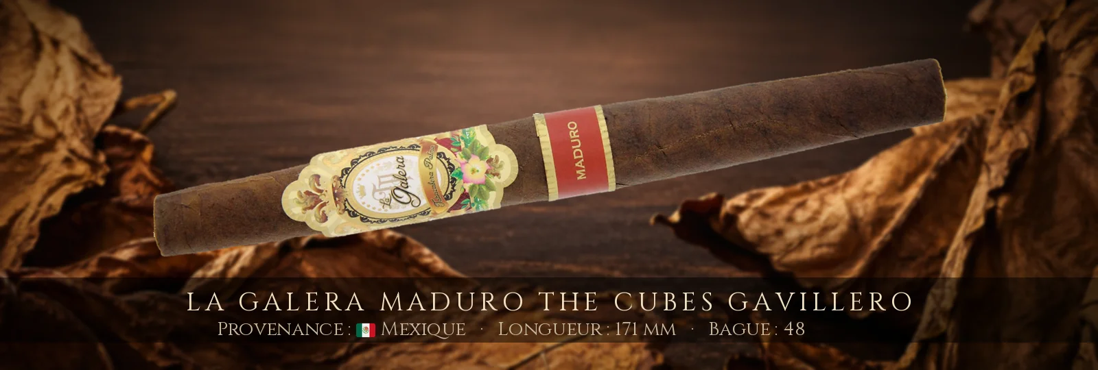 La Galera Maduro The Cubes Gavillero — La Galera — Mexique