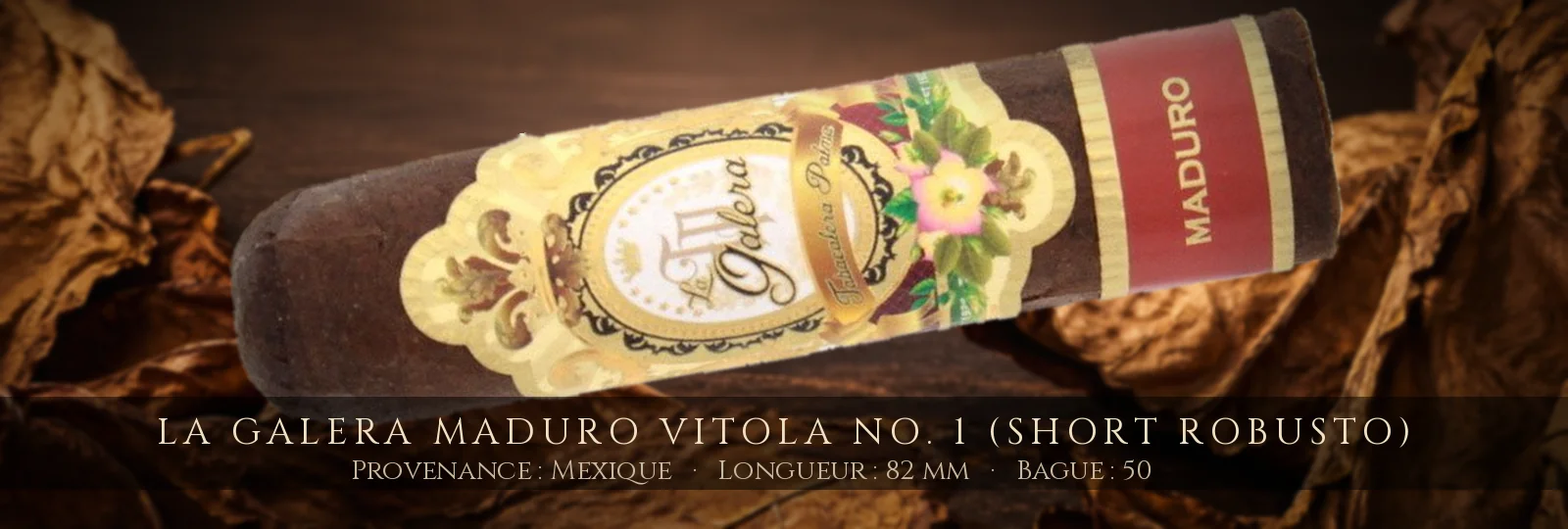 La Galera Maduro Vitola No. 1 (Short Robusto) — La Galera — Mexique
