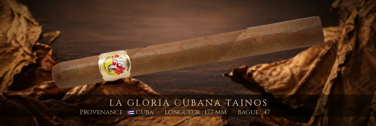La Gloria Cubana Tainos