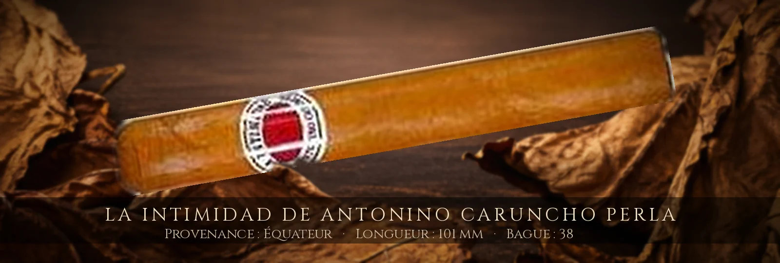 La Intimidad de Antonino Caruncho Perla — La Intimidad — Équateur
