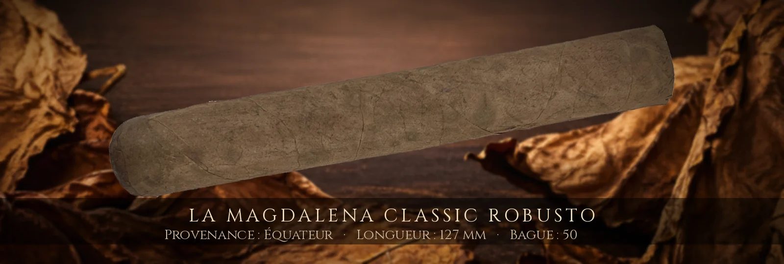 La Magdalena Classic Robusto — La Magdalena — Équateur