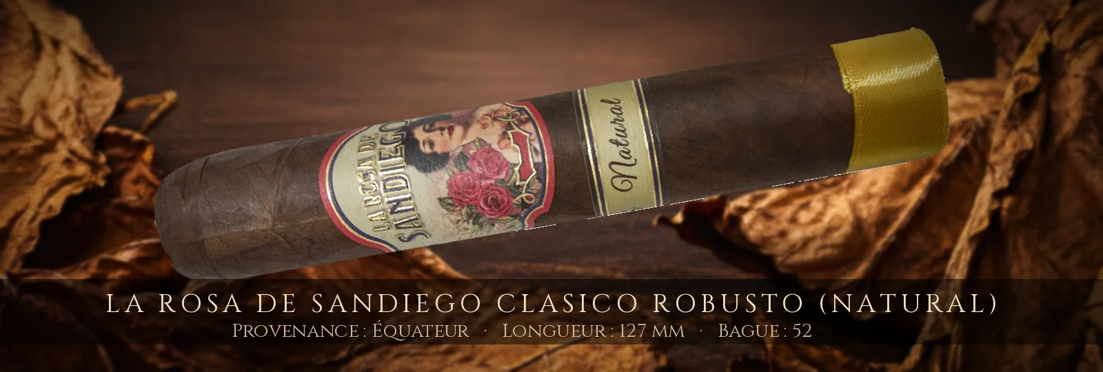 La Rosa de Sandiego Clasico Robusto (Natural) — La Rosa de Sandiego — Équateur