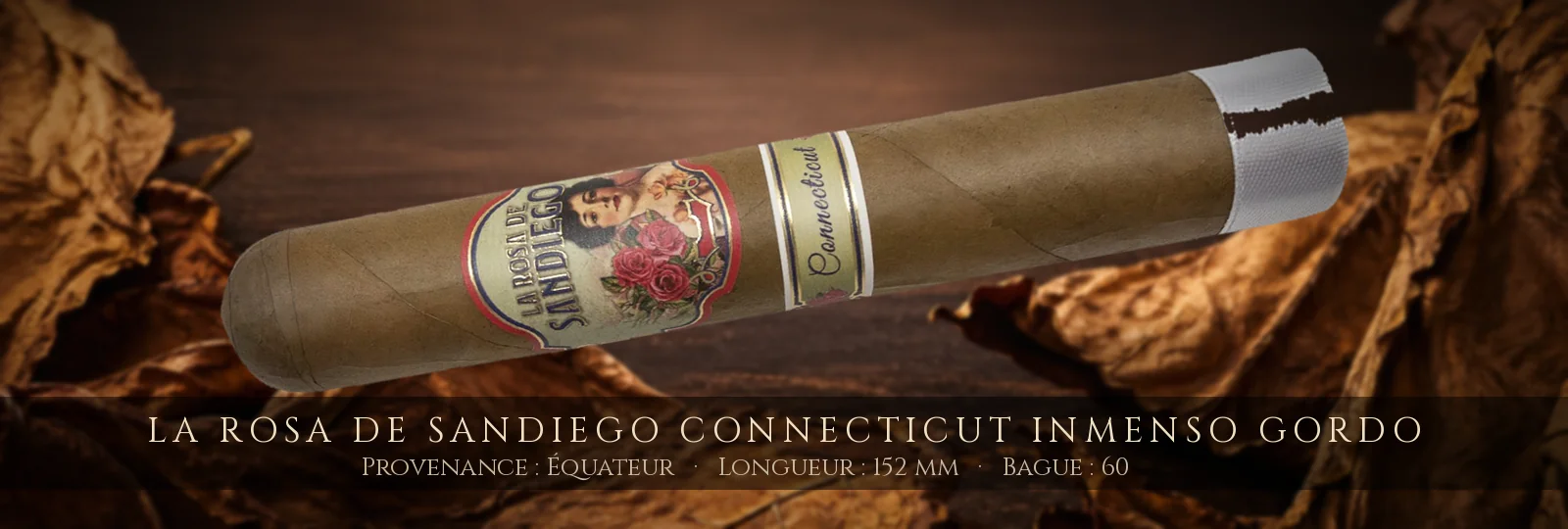 La Rosa de Sandiego Connecticut Inmenso Gordo — La Rosa de Sandiego — Équateur