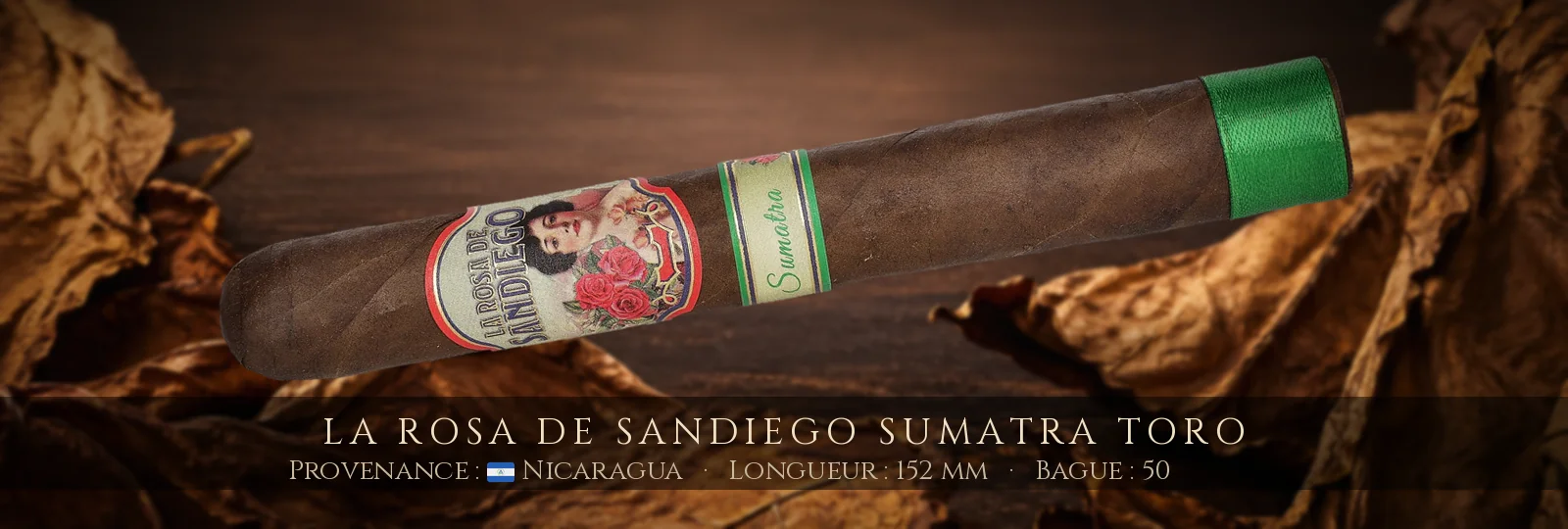 La Rosa de Sandiego Sumatra Toro — La Rosa de Sandiego — Nicaragua