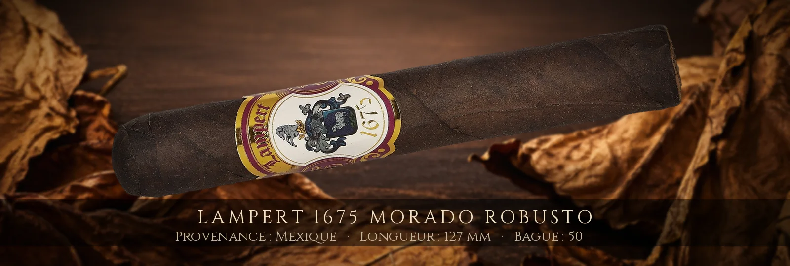 Lampert 1675 Morado Robusto — Lampert — Mexique