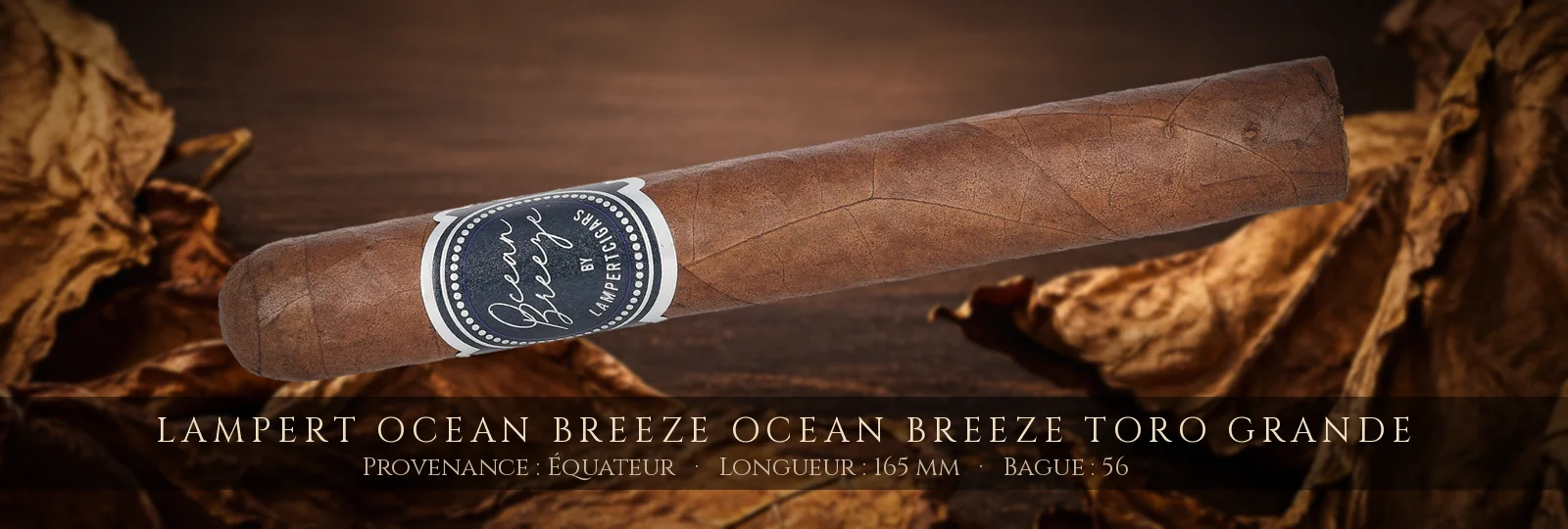 Lampert Ocean Breeze Ocean Breeze Toro Grande — Lampert — Équateur