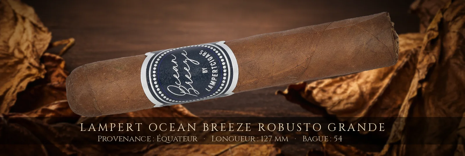 Lampert Ocean Breeze Robusto Grande — Lampert — Équateur
