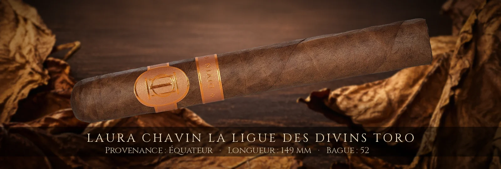 Laura Chavin La Ligue des Divins Toro — Laura Chavin — Équateur
