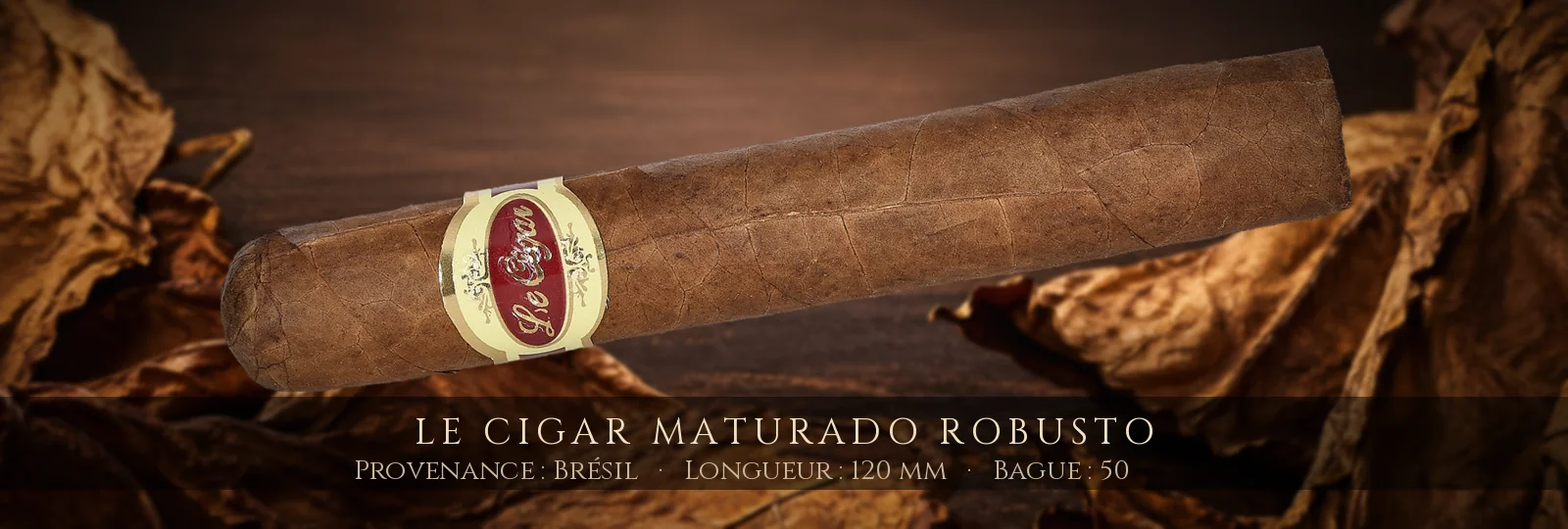 Le Cigar Maturado Robusto — Le Cigar — Brésil