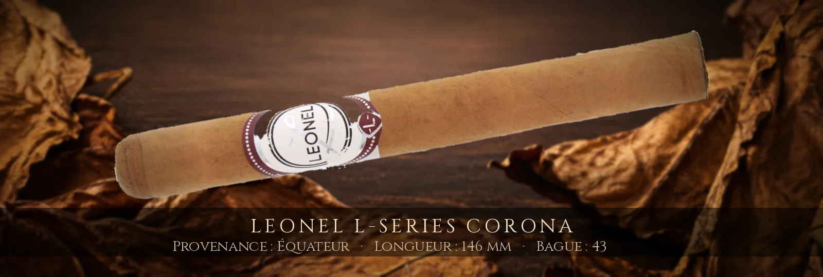Leonel L-Series Corona — Leonel — Équateur