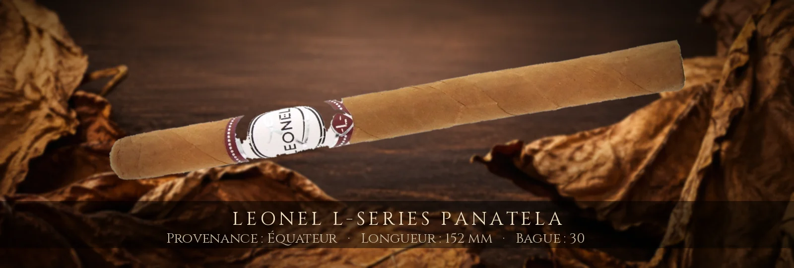 Leonel L-Series Panatela — Leonel — Équateur