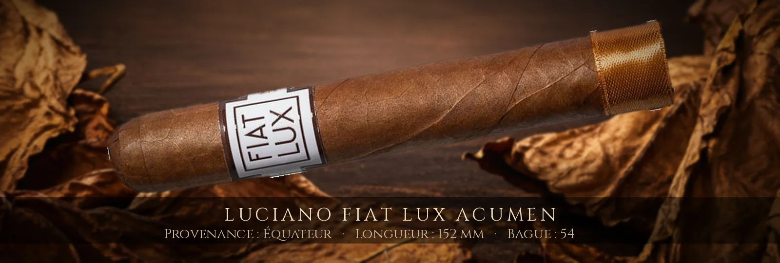 Luciano Fiat Lux Acumen — Luciano — Équateur